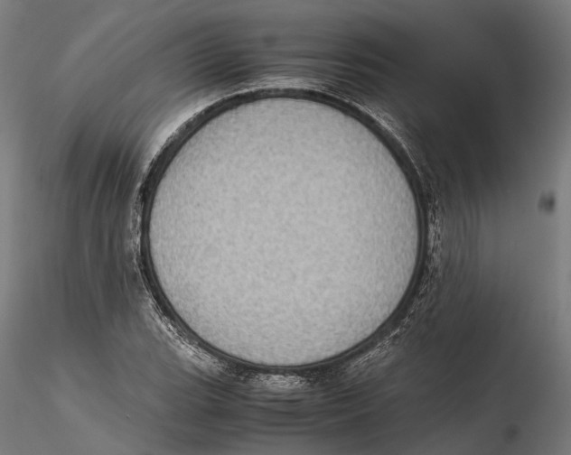 X0000115581119200912081019