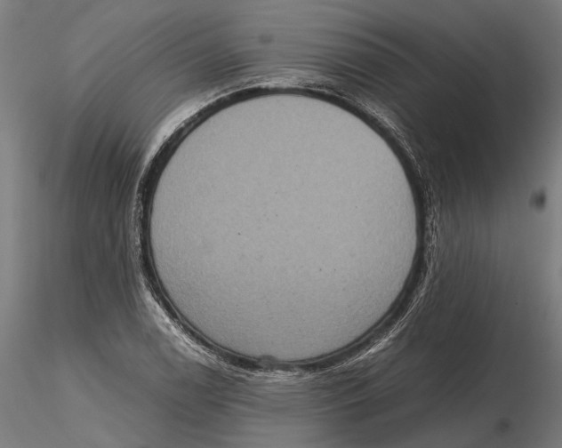 X0000115581122200912081020