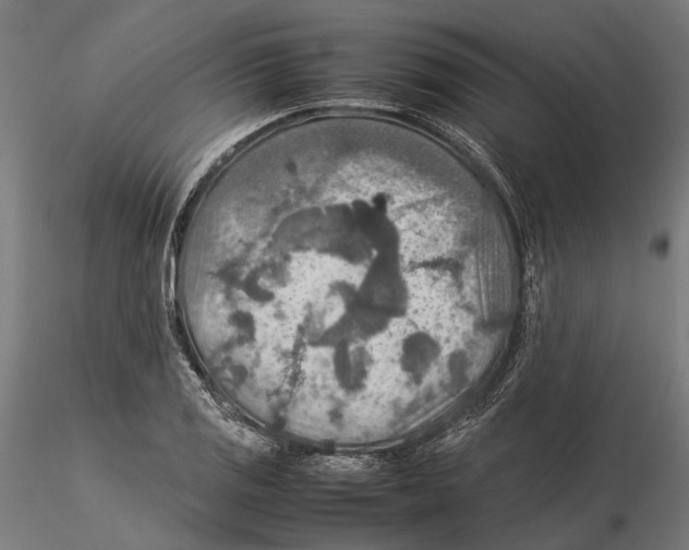 X0000115581125200912081020