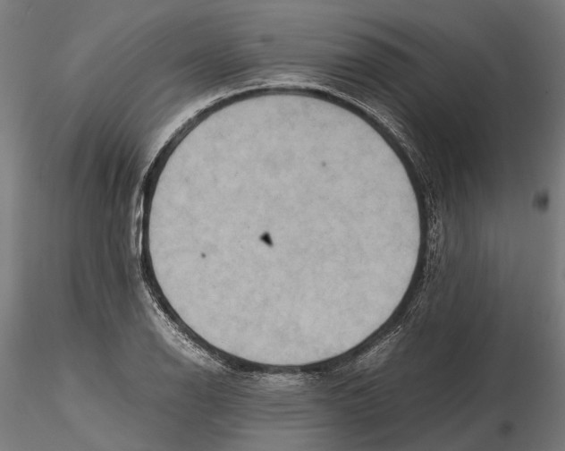 X0000115581126200912081020