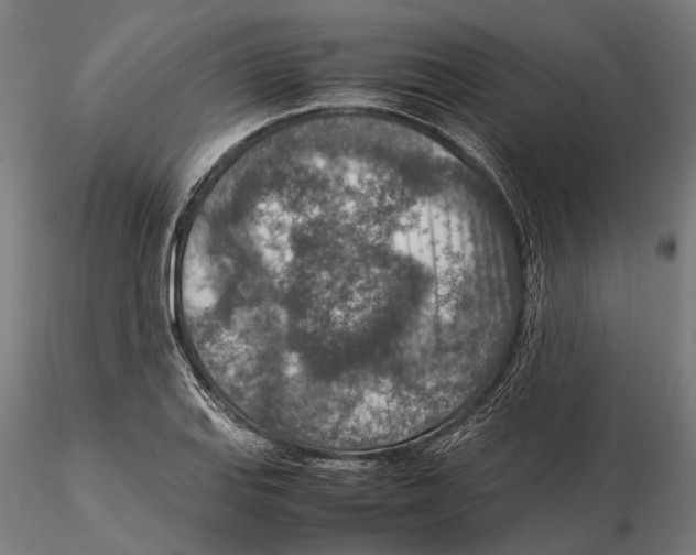 X0000115581127200912081020