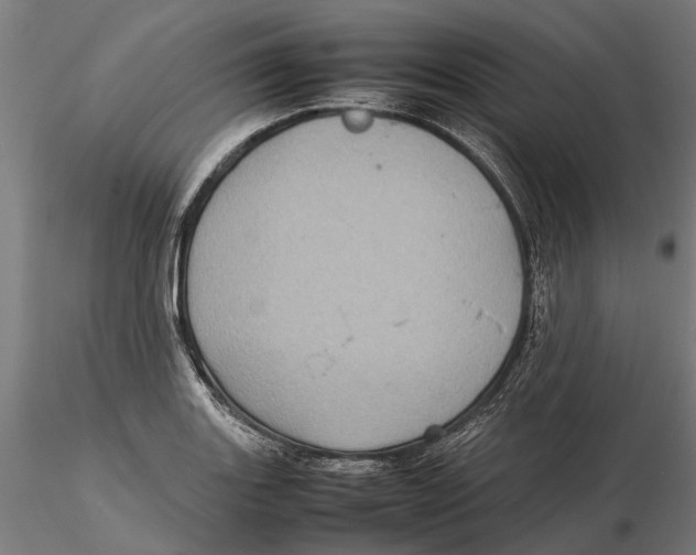 X0000115581131200912081020