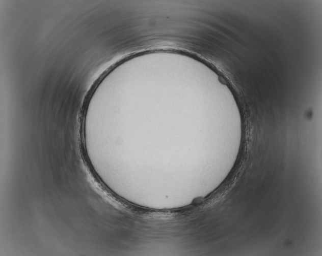 X0000115581134200912081020