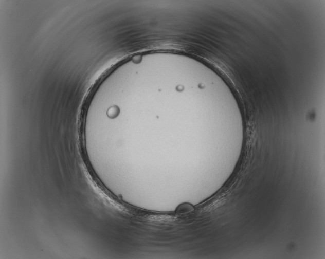 X0000115581135200912081020