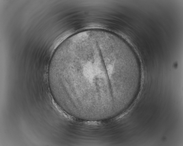 X0000115581137200912081020