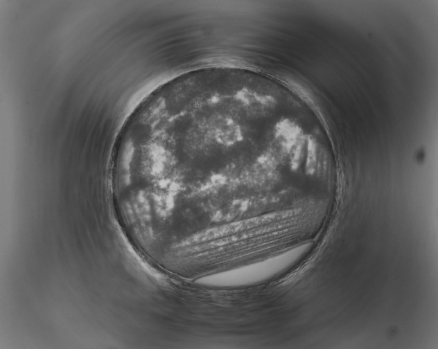 X0000115581141200912081020