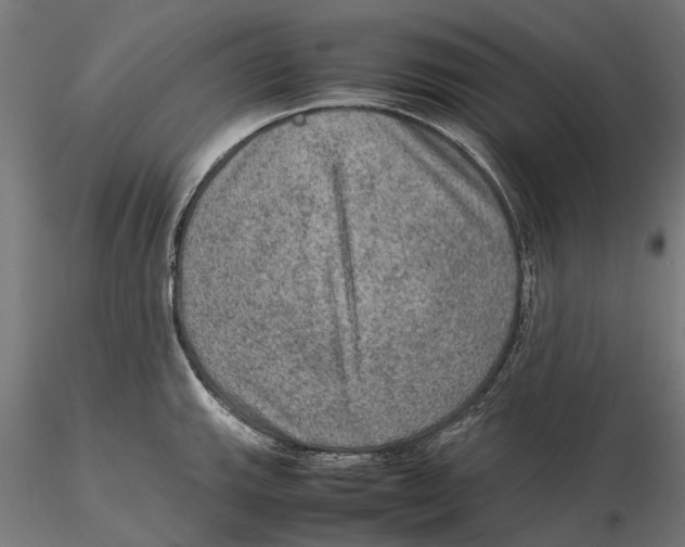 X0000115581143200912081020