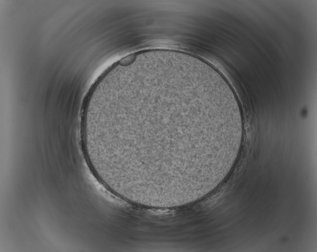 X0000115581147200912081020