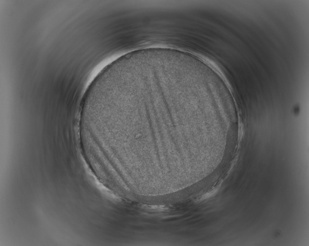 X0000115581149200912081020