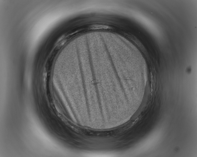 X0000115581151200912081020