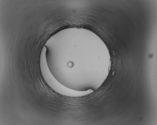 X0000115581153200912081019