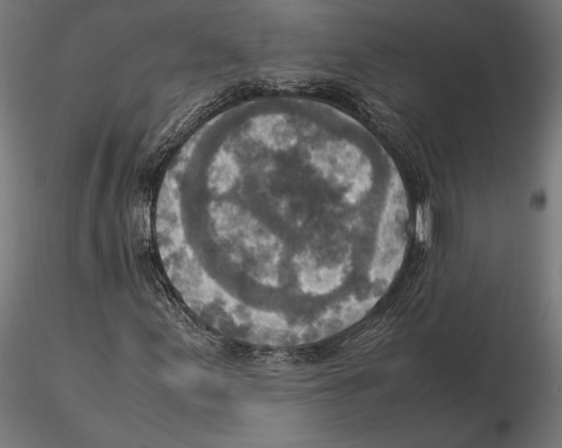 X0000115581155200912081019