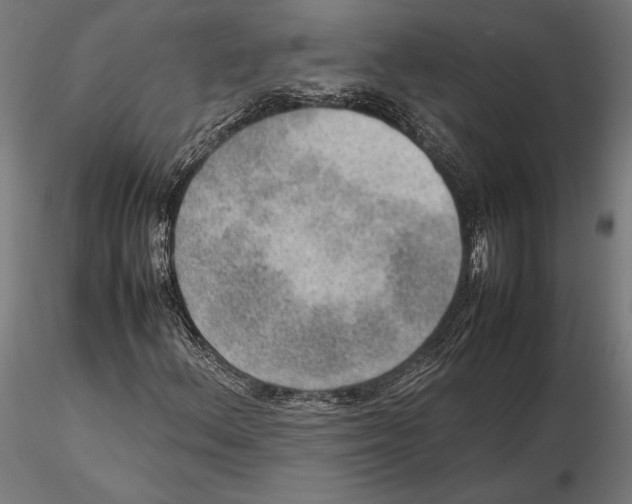 X0000115581156200912081019