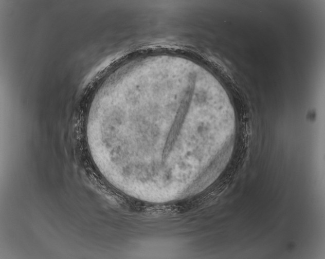 X0000115581159200912081019