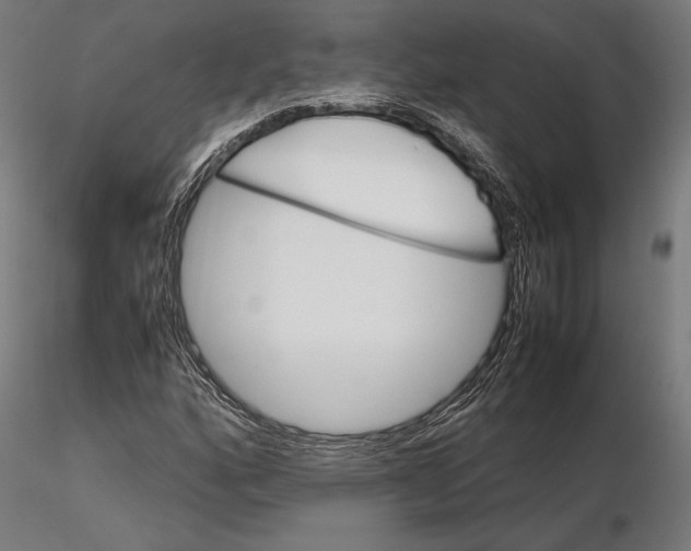 X0000115581160200912081019