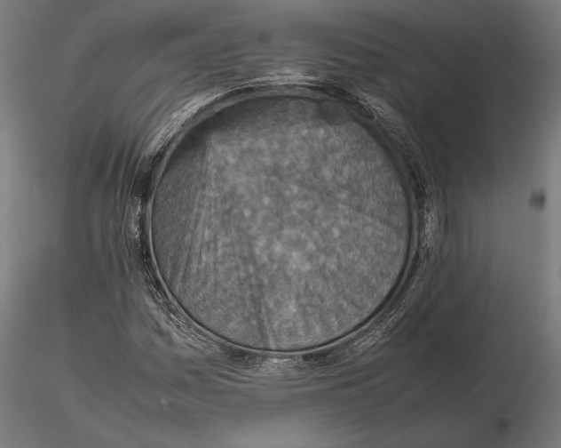 X0000115581161200912081019