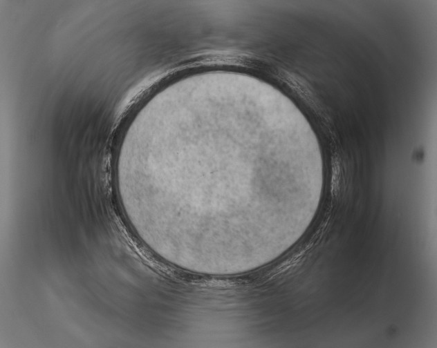 X0000115581164200912081019