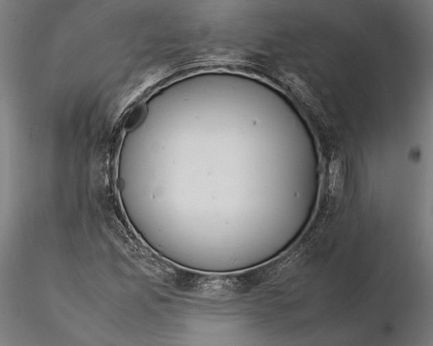 X0000115581165200912081019