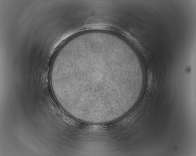 X0000115581166200912081019