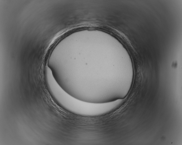 X0000115581168200912081019