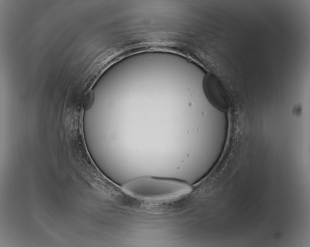 X0000115581169200912081019