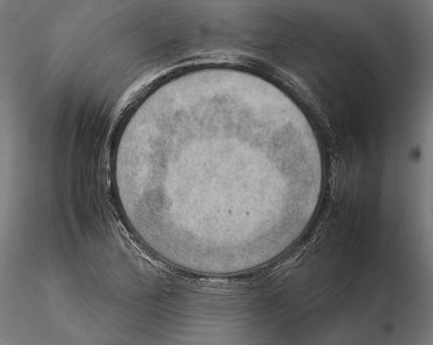 X0000115581172200912081019