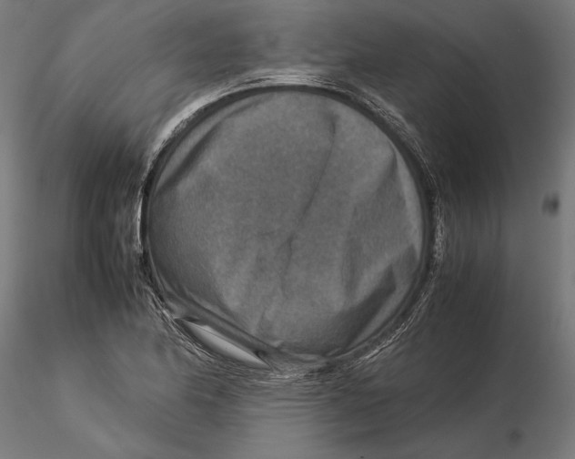 X0000115581174200912081019