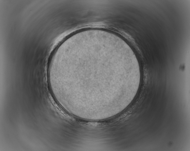 X0000115581176200912081019