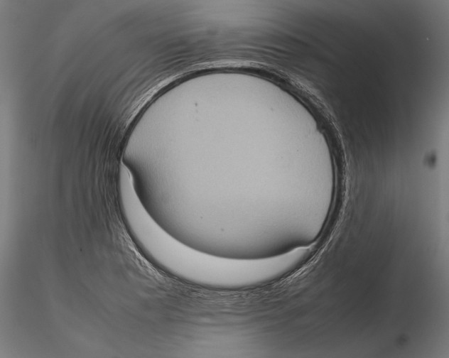 X0000115581177200912081019