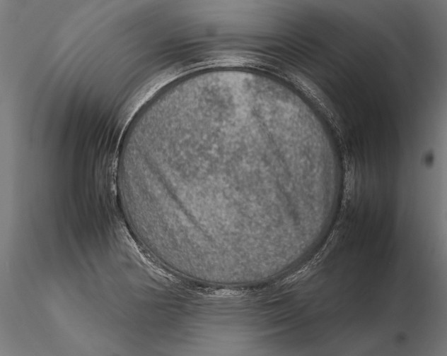 X0000115581178200912081019