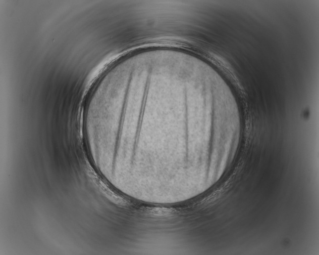 X0000115581180200912081019