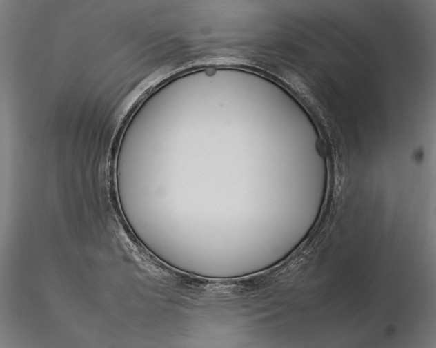 X0000115581181200912081019