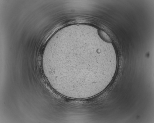 X0000115581185200912081019