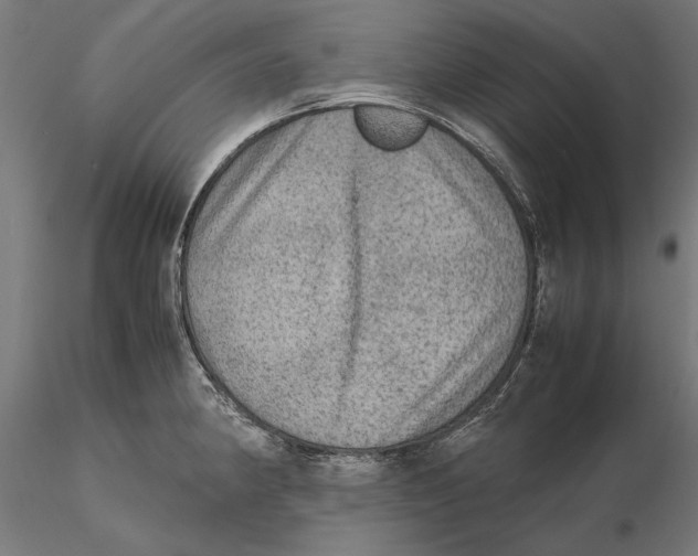 X0000115581190200912081019