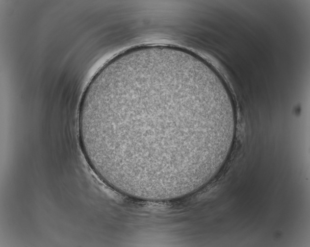 X0000115581191200912081019