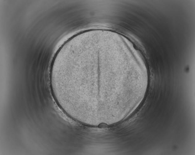 X0000115581192200912081019