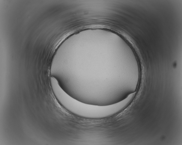 X0000115581193200912081019