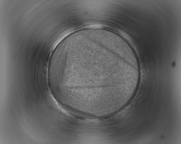 X0000115581194200912081019