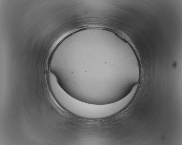 X0000115581195200912081019