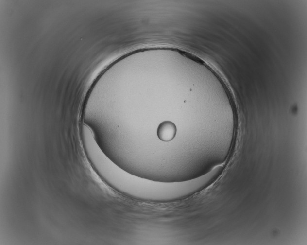 X0000115581197200912081019