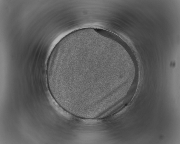 X0000115581200200912081018