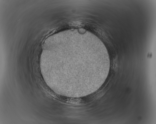 X0000115581201200912081018