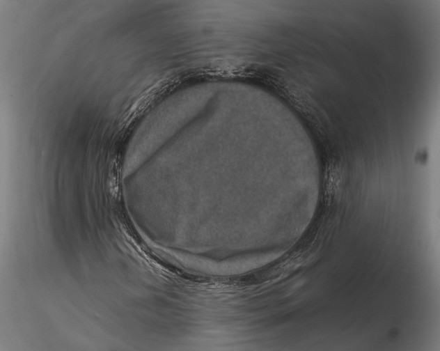 X0000115581202200912081018