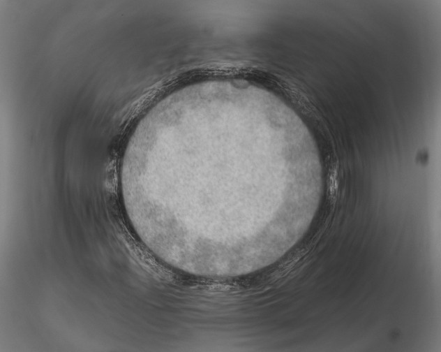 X0000115581204200912081018