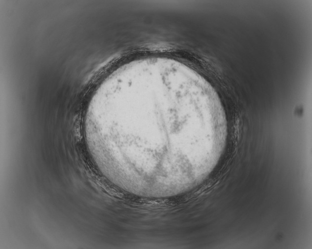 X0000115581205200912081018