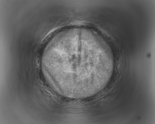 X0000115581206200912081018