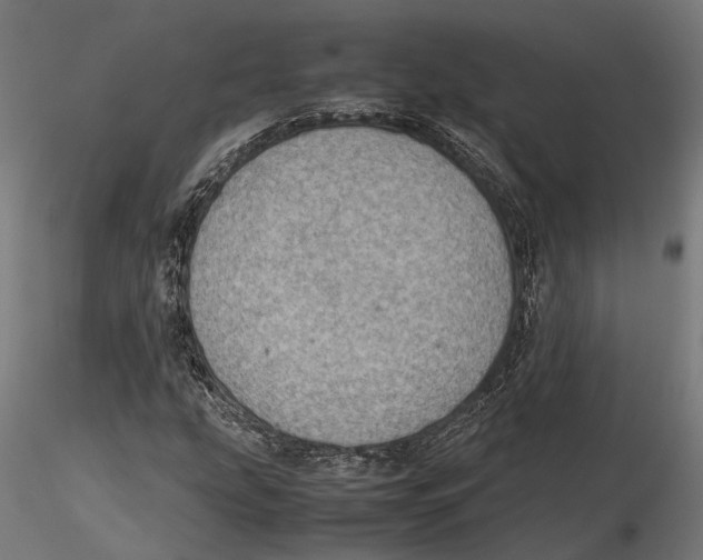 X0000115581207200912081018