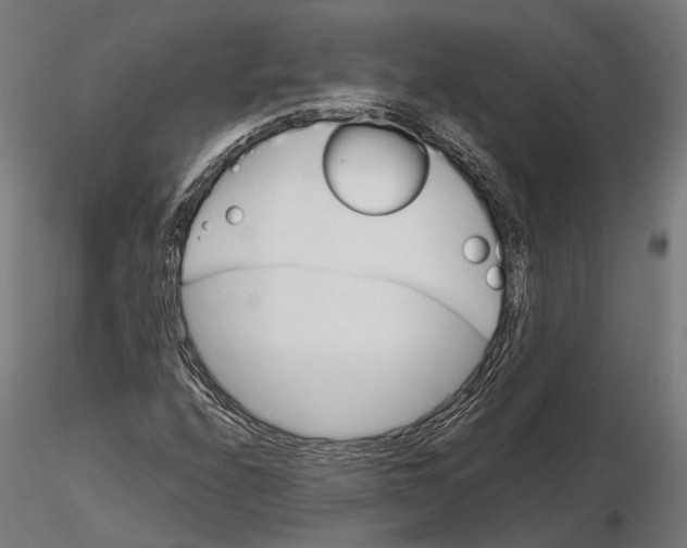 X0000115581208200912081018