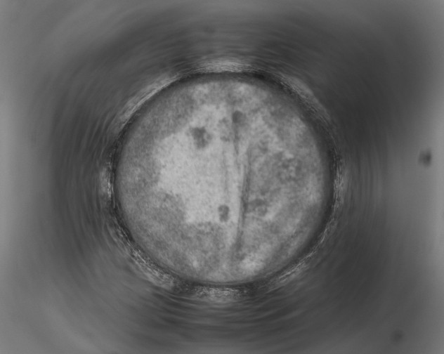 X0000115581209200912081018