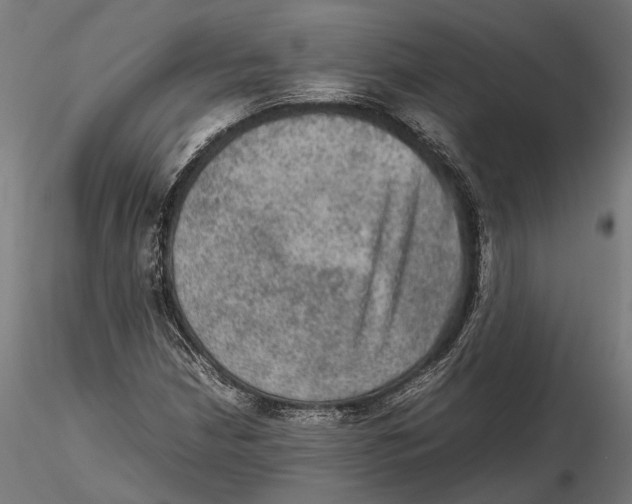 X0000115581210200912081018